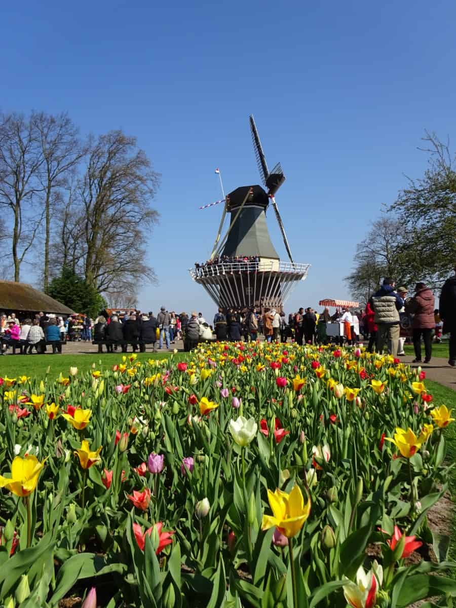 Beyond Amsterdam: Keukenhof flower gardens in the Netherlands - Q