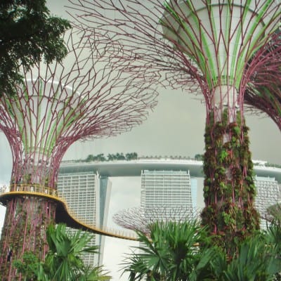 Visit Singapore with Q Cruise + Travel a Virtuoso member