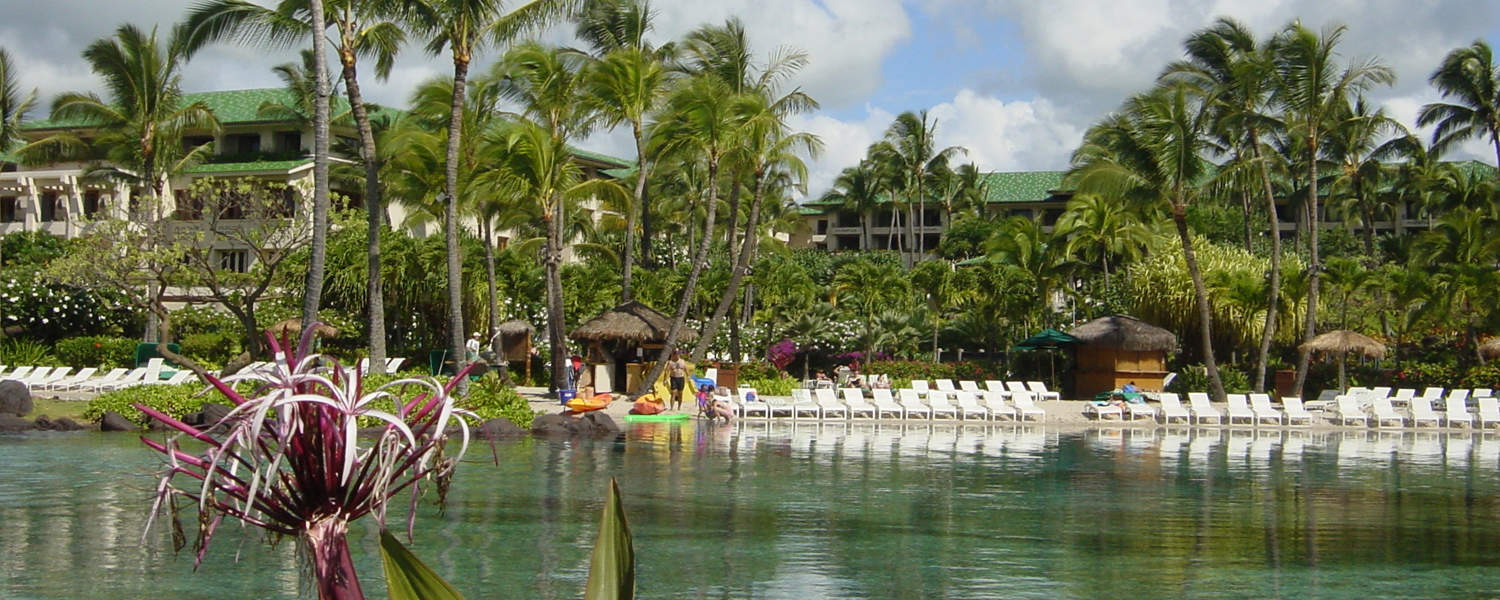 Luggage Shipping to your Vacation Q Cruise + Travel