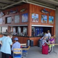 Have a Margarita while you are waiting for your ride at the Los Cabos airport.