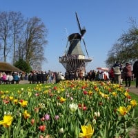 Visit the Keukenhof flowers of Holland on a river cruise