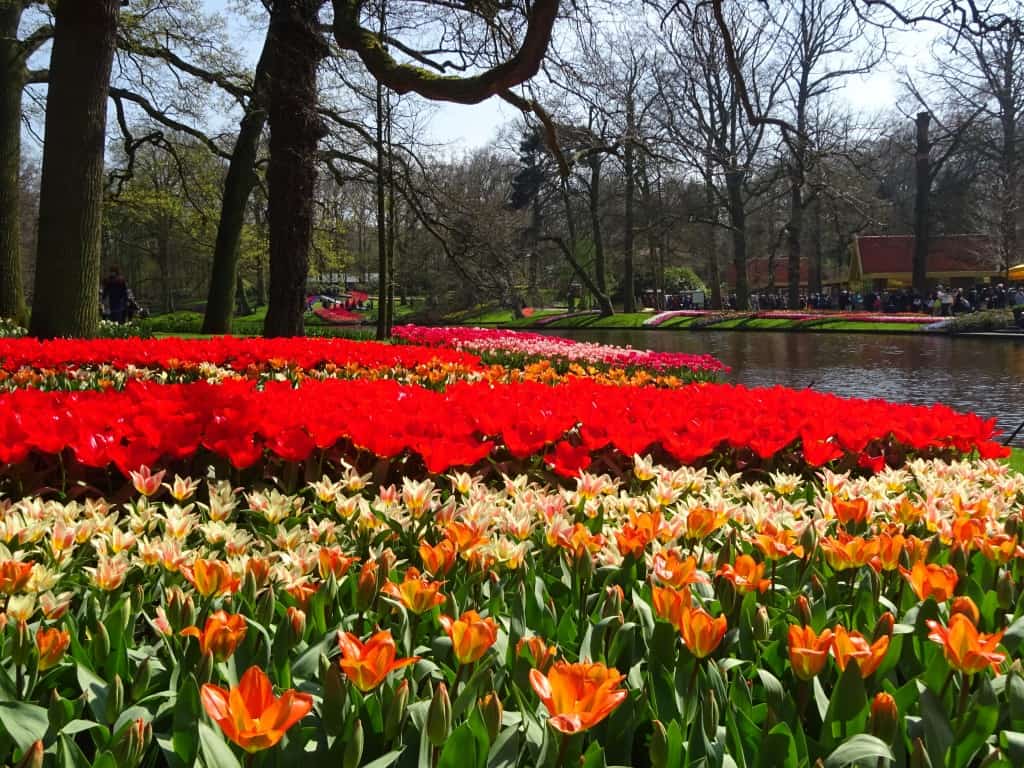 Avalon Waterways Tulip Time River Cruise, from 2,099* per person by Q