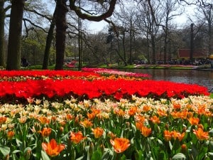 The famed Dutch Keukenhof is a riot of colors
