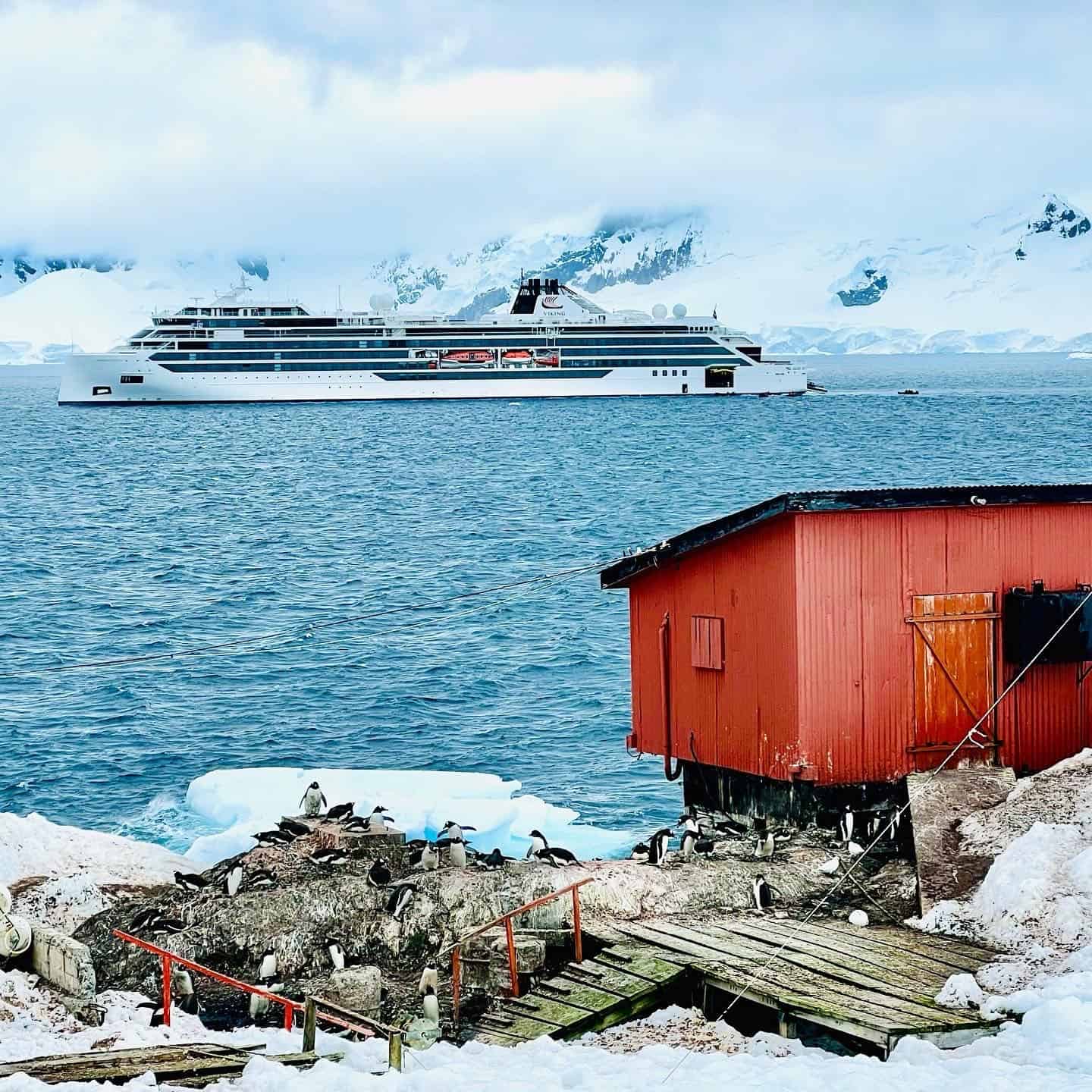 viking antarctica cruise price